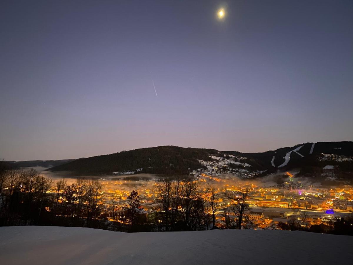 La Cime Des Lacs ジェラールメ エクステリア 写真